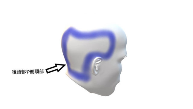 人間の後頭部と側頭部の図